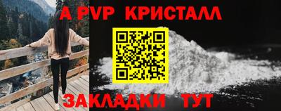 стафф Донецк