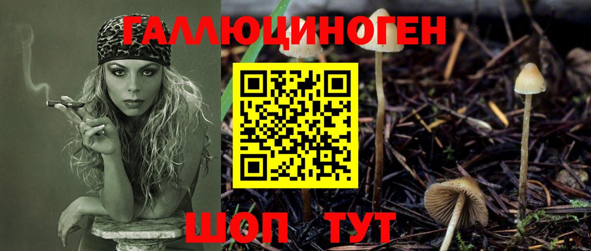 Галлюциногенные грибы MAGIC MUSHROOMS Луга